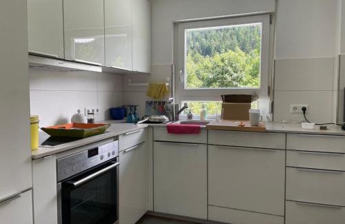 Ehlenbogen House | Ferienhaus Hirschle | Sauna | Hunde | Zaun