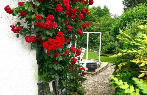 Eschede House | Ferienhaus Lüneburger Heide