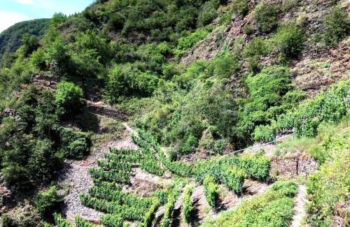 Bremm House | Ferienhaus MaLu in Bremm