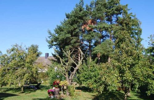 Bodstedt Apartment | Ferienhaus mit Garten am Bodstedter Bodden
