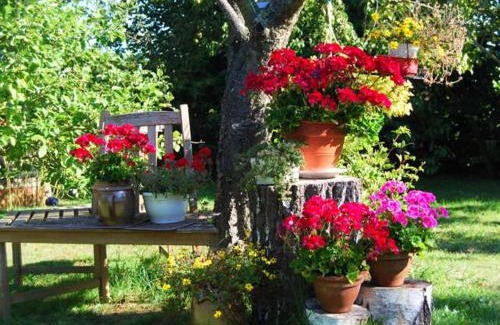 Bodstedt Apartment | Ferienhaus mit Garten am Bodstedter Bodden