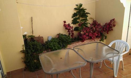 Se House | Ferienhaus Mit Terrasse