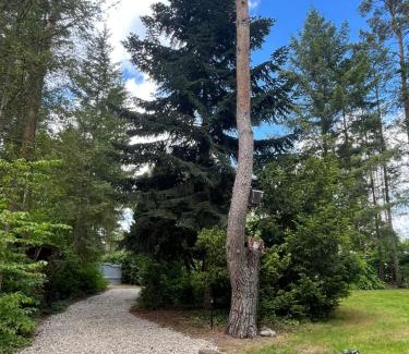 Milmersdorf House | Ferienhaus Reetdach 1300qm Privatgrundstück Bootssteg Sauna Templin Lübbesee Uckermark Erholung pur Seenplatte