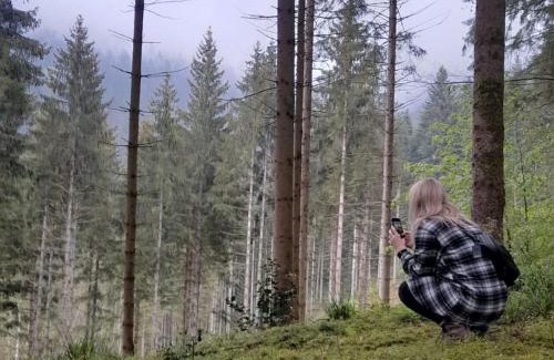 Schalksmuehle Apartment | Ferienhaus Wiesenchalet im Sauerland