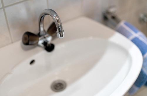 Bad Peterstal-Griesbach Apartment | Ferienhof Brutoni