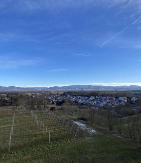 West Apartment | Ferienwohnung Glöckler