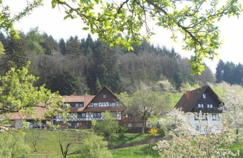 Busterbach Apartment | Ferienwohnung 1, 78qm mit 2 Schlafräume, für max. 5 Personen