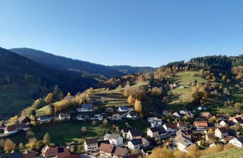 Kleines Wiesental Apartment | Ferienwohnung am Geißberg