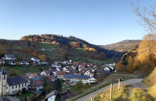 Kleines Wiesental Apartment | Ferienwohnung am Geißberg