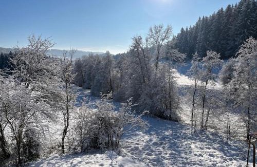 Lossburg Apartment | Ferienwohnung am Leinbach, nahe Freudenstadt, Weihnachtsmarkt vom 04 bis 14 Dezember in Freudenstadt