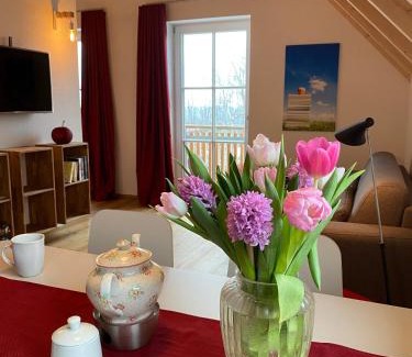 Spiegelberg Apartment | Ferienwohnung Apfelkrönchen