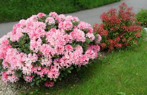 Ehlenbogen Apartment | Ferienwohnung Bühler