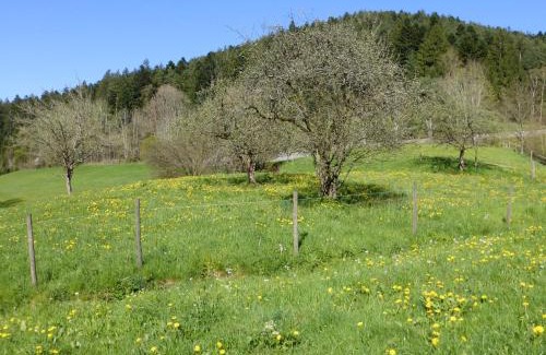 Ehlenbogen Apartment | Ferienwohnung Bühler