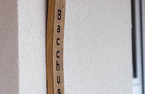 Oberschwappach Apartment | Ferienwohnung "bacchus"