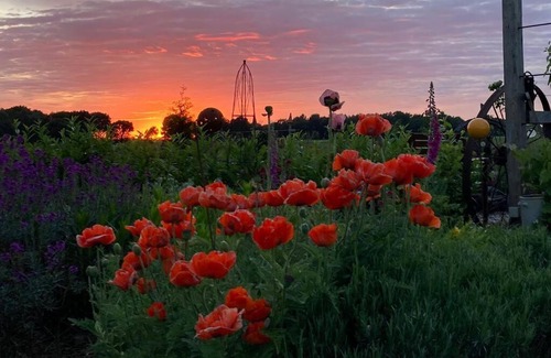 Borgerwald House | Ferienwohnung Bina