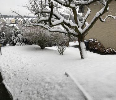 Altenbeken Apartment | Ferienwohnung Brigitta