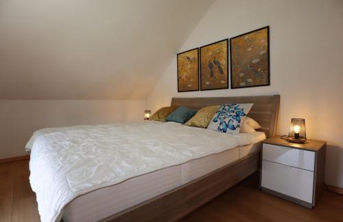 Kappel-Grafenhausen Apartment | Ferienwohnung Freizeitglück nahe Europapark - Mein Schwarzwaldhäusle