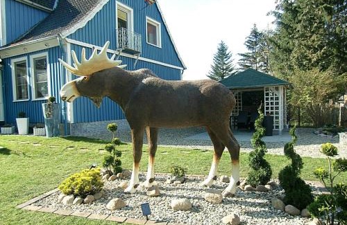 Eschede Apartment | Ferienwohnung Heideschwedin