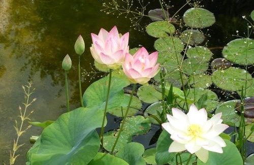 Aalen Apartment | Ferienwohnung Himmlingen