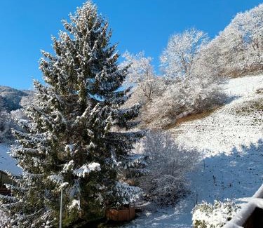 Tegernau Apartment | Ferienwohnung Kleines Wiesental