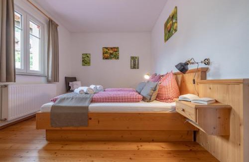 Bad Eisenkappel Apartment | Ferienwohnung Klancnik