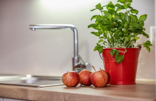 Bad Eisenkappel Apartment | Ferienwohnung Klancnik