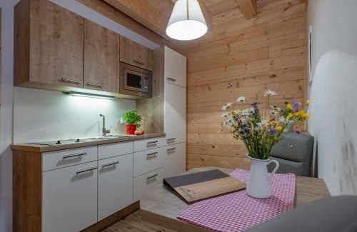 Bad Eisenkappel Apartment | Ferienwohnung Klancnik