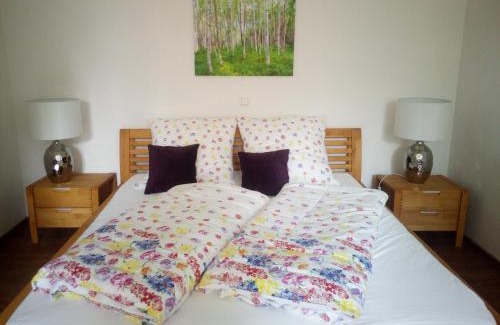 Poettmes Apartment | Ferienwohnung Kopold "Im alten Schulhaus"