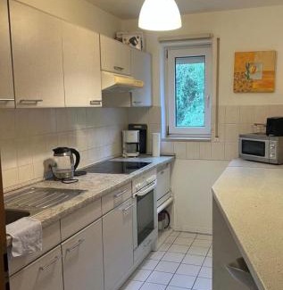 Loerrach Apartment | Ferienwohnung Lörrach 1