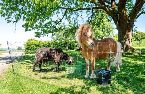 Hofgeismar Apartment | Ferienwohnung Landleben