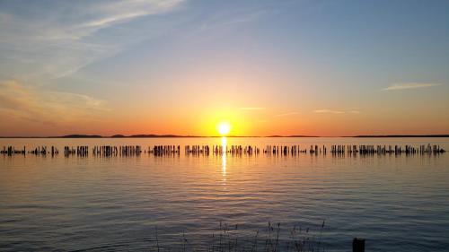 Neuensien Resort | Ferienwohnung Mönchgut 1 mit Wintergarten und Terrasse