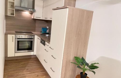 Viktring Apartment | Ferienwohnung Marion Klagenfurt Wörthersee Viktring