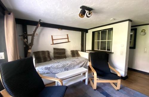 Todtnauberg Apartment | Ferienwohnung Michel 02 im Haus Schwarzwaldmarille- Todtnauberg, Feldberg