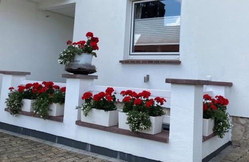 Steina Apartment | Ferienwohnung Rothirsch