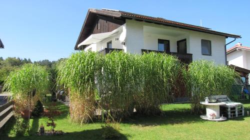 Halblech Apartment | Ferienwohnung Schopper