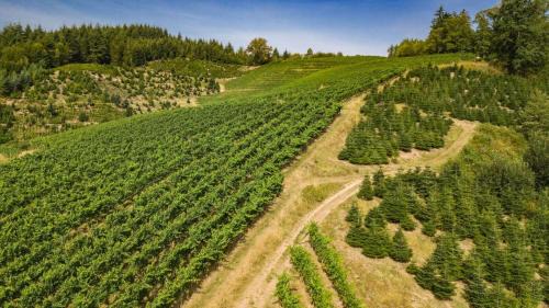 Oberkirch Apartment | Ferienwohnung Steinhof