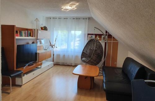 Bad Schoenborn Apartment | Ferienwohnung Vikolisa