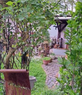 Mertloch Apartment | Ferienwohnung Vogt