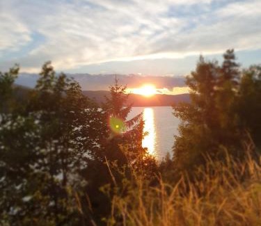 Blasiwald Apartment | Ferienwohnung Waldfee