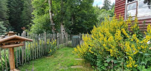 Blasiwald Apartment | Ferienwohnung Waldfee