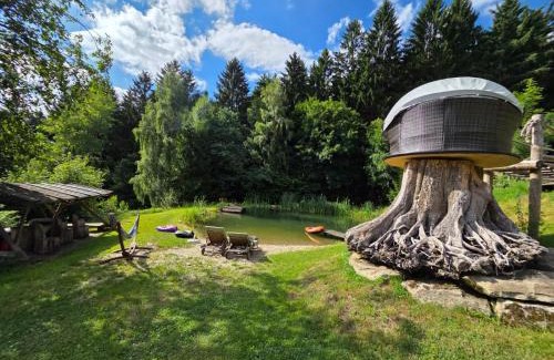 Maibrunn Apartment | Ferienwohnung Waldidyll