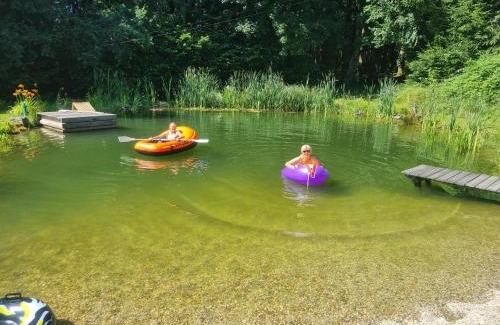 Maibrunn Apartment | Ferienwohnung Waldidyll