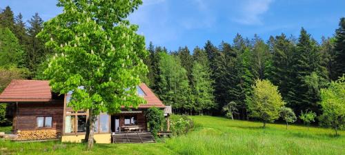 Maibrunn Apartment | Ferienwohnung Waldidyll