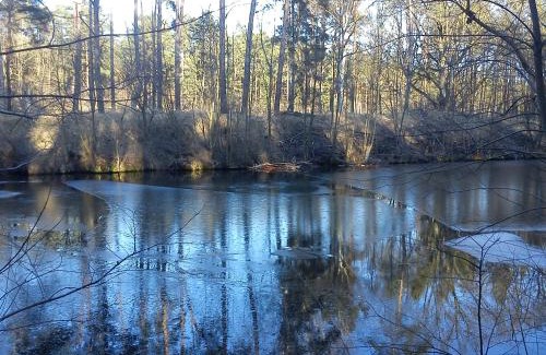 Briesen Apartment | Ferienwohnungen 3 Birken