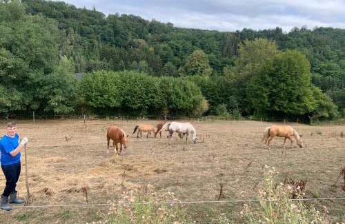 Niederwinkel Apartment | Ferienwohnungen Waldsicht und Dorfsicht