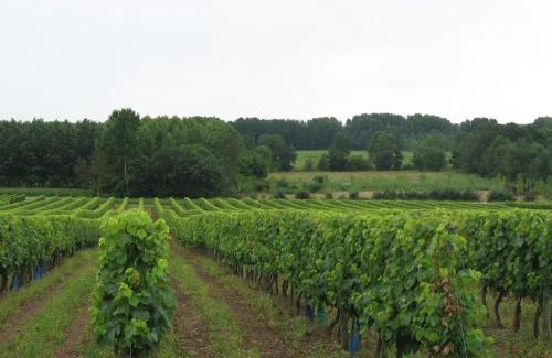 Cherac Bed & Breakfast | Ferme de chez Piché