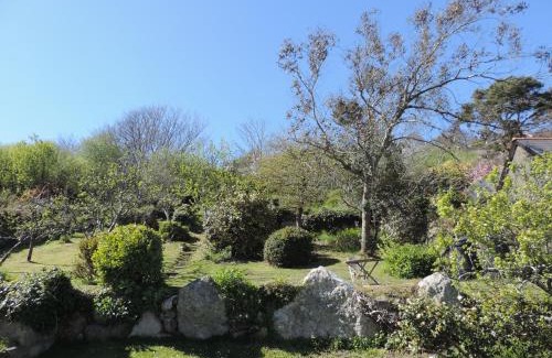 Goodwick Bed & Breakfast | Fern Villa B&B