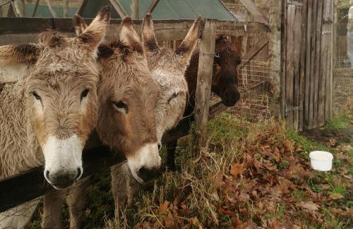 Rheenendal House | Fernhill Guest Farm