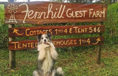 Rheenendal House | Fernhill Guest Farm