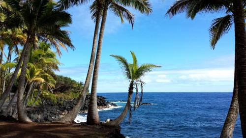 Royal Hawaiian Estates House | Ferns & Frogs Forest Hale home